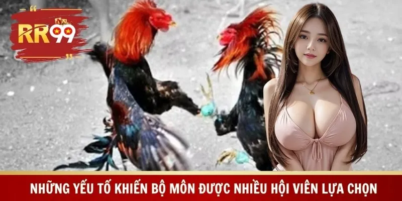 Những yếu tố khiến bộ môn được nhiều hội viên lựa chọn